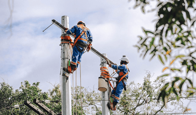 Enel retiró 350 cometas de las redes eléctricas y refuerza medidas para agosto