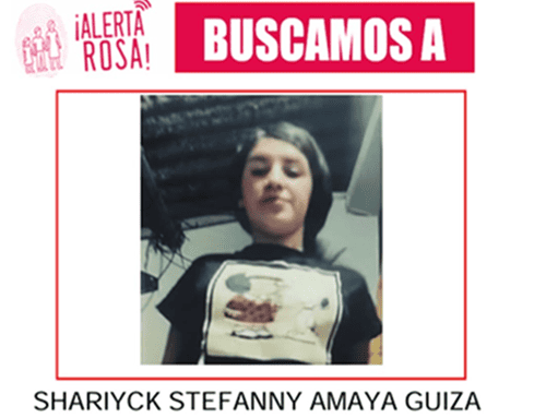 Activan Alerta Rosa por la desaparición de una adolescente de 16 años en Bogotá