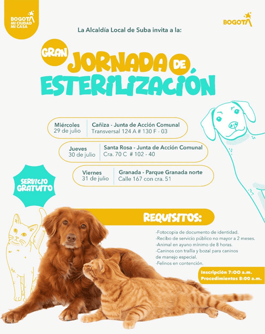 Alcaldía Local de Suba realizará jornadas gratuitas de esterilización para perros y gatos