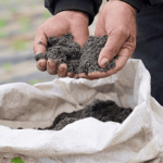 La CAR entregó 60.000 bultos de fertilizante a 30 municipios de Cundinamarca para recuperar suelos
