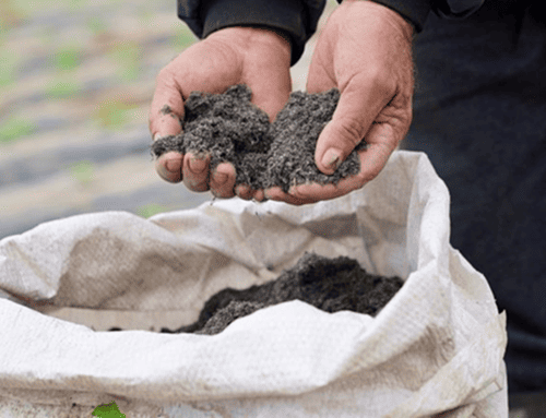 La CAR entregó 60.000 bultos de fertilizante a 30 municipios de Cundinamarca para recuperar suelos