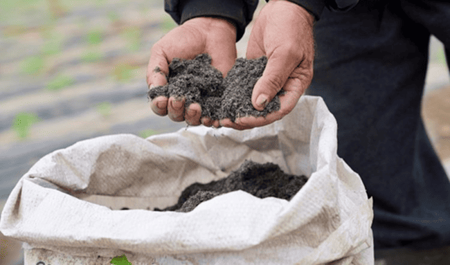 La CAR entregó 60.000 bultos de fertilizante a 30 municipios de Cundinamarca para recuperar suelos