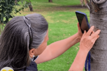 Usaquén fortalece el tejido social con la exposición fotográfica «Bichos del Parque»