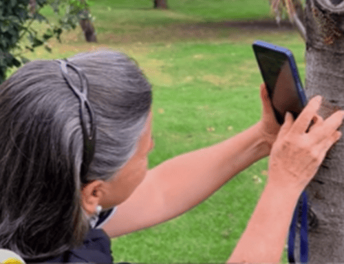 Usaquén fortalece el tejido social con la exposición fotográfica «Bichos del Parque»
