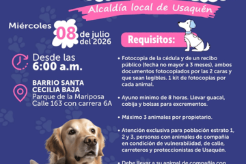 Usaquén realizará jornada gratuita de esterilización para perros y gatos este 8 de julio