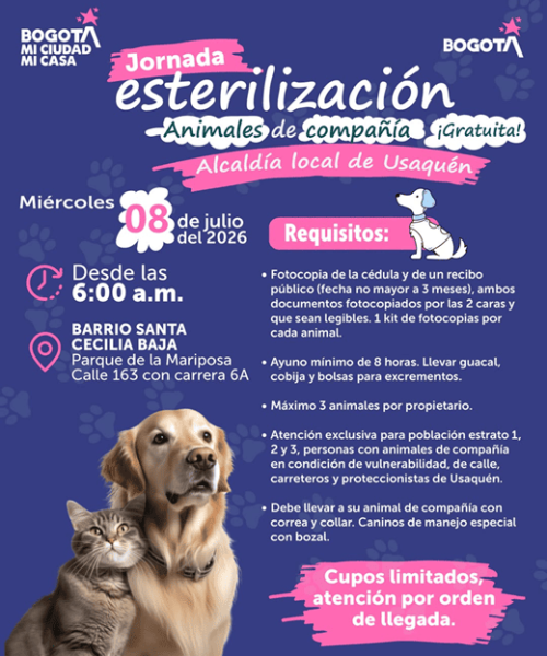 Usaquén realizará jornada gratuita de esterilización para perros y gatos este 8 de julio