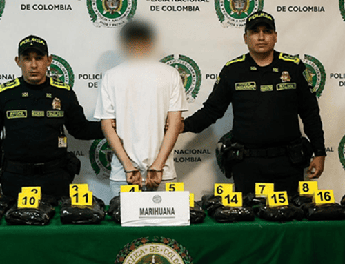 Capturan a pasajero que intentaba viajar con más de 18 kilos de marihuana desde El Dorado