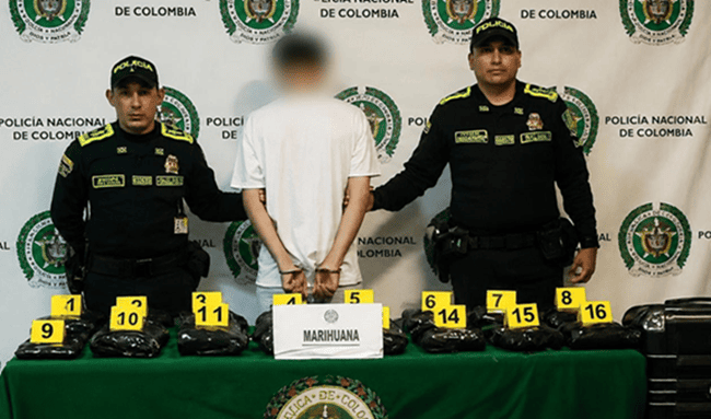 Capturan a pasajero que intentaba viajar con más de 18 kilos de marihuana desde El Dorado