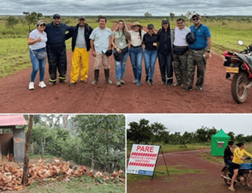 ICA intensifica acciones para contener brote de influenza aviar en Vichada