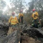 El fuego no da tregua en Tolima: 13 incendios forestales permanecen activos