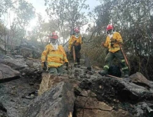 El fuego no da tregua en Tolima: 13 incendios forestales permanecen activos