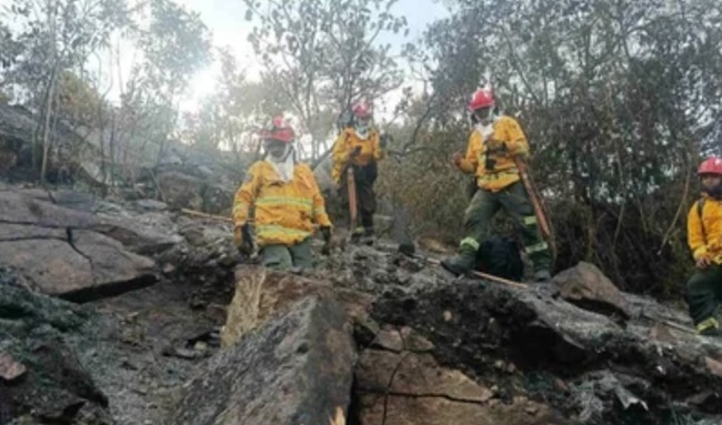El fuego no da tregua en Tolima: 13 incendios forestales permanecen activos