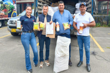 Cundinamarca prepara 3.100 toneladas de silo para alimentar el ganado durante El Niño
