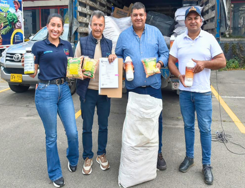 Cundinamarca prepara 3.100 toneladas de silo para alimentar el ganado durante El Niño
