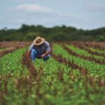 “Hay que monitorear los precios de los alimentos”: Sociedad de Agricultores de Colombia