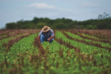 “Hay que monitorear los precios de los alimentos”: Sociedad de Agricultores de Colombia