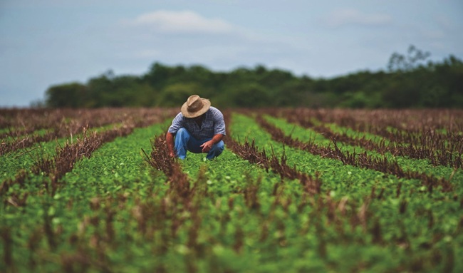 “Hay que monitorear los precios de los alimentos”: Sociedad de Agricultores de Colombia