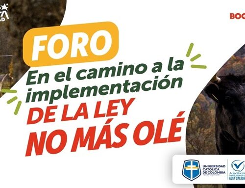 IDPYBA conmemora dos años de la Ley No Más Olé con foro sobre su implementación