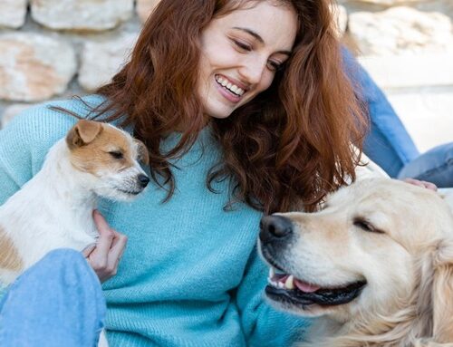 Identificación inteligente ayuda a proteger mascotas y facilitar su reencuentro tras una emergencia