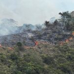 Incendios forestales mantienen en alerta al Tolima: más de 22.000 hectáreas afectadas