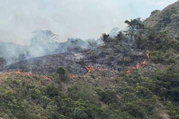 Incendios forestales mantienen en alerta al Tolima: más de 22.000 hectáreas afectadas