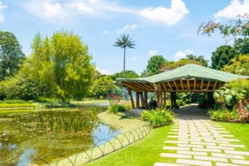 Jardín Botánico de Bogotá renovó jardinera del parque Quirigua de Engativá