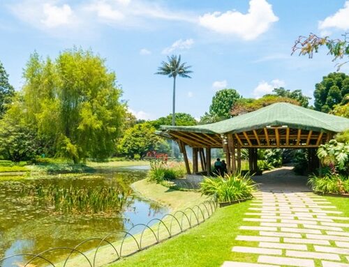 Jardín Botánico de Bogotá renovó jardinera del parque Quirigua de Engativá