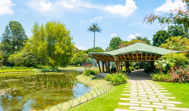 Jardín Botánico de Bogotá renovó jardinera del parque Quirigua de Engativá