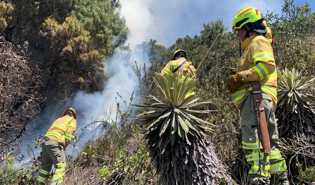 Más de 25 municipios de Boyacá no tienen convenios vigentes con bomberos.