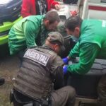 Rescatan nueve perros y gatos en precarias condiciones en una vivienda de La Gloria