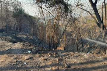 Sequía e incendios forestales elevan los precios de la canasta familiar en Tolima
