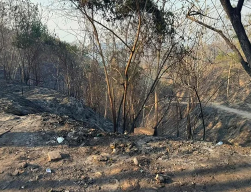 Sequía e incendios forestales elevan los precios de la canasta familiar en Tolima