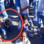 En medio del miedo, un niño de Suba encontró calma en la oración y conmovió a muchos