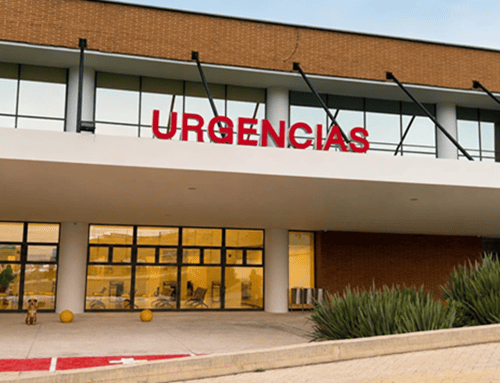 Línea 137 atendió más de 35.000 llamadas en sus primeros dos meses