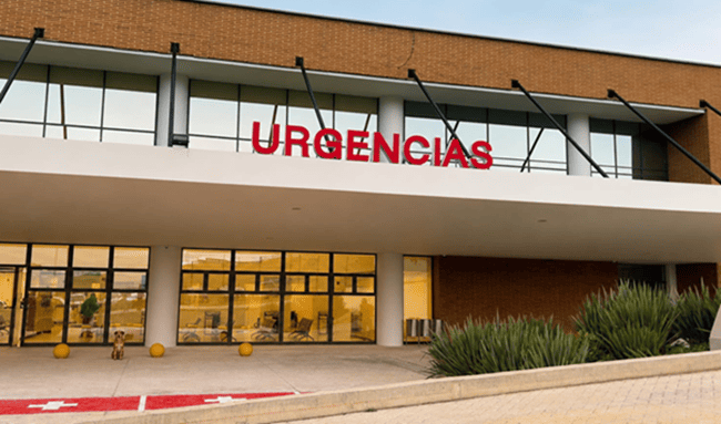 Línea 137 atendió más de 35.000 llamadas en sus primeros dos meses