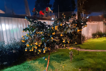 Vecinos de Sábana de Tibabuyes denuncian consumo de sustancias, ruido e inseguridad en parque del sector