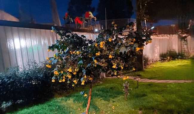 Vecinos de Sábana de Tibabuyes denuncian consumo de sustancias, ruido e inseguridad en parque del sector