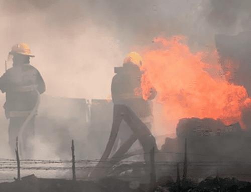 Ibagué registró más de 150 incendios forestales en julio y perdió 190 hectáreas de vegetación