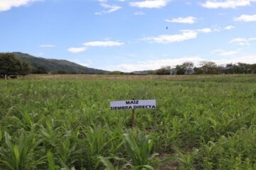CAR activa plan contra incendios forestales ante llegada de El Niño