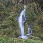20.000 botellas de agua al mes: esto puede consumir una familia de cuatro personas