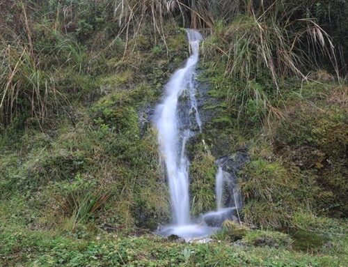 20.000 botellas de agua al mes: esto puede consumir una familia de cuatro personas