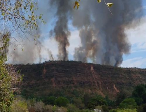 28 incendios forestales afectan cerca de 72 hectáreas en Cundinamarca