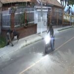 Perro defendió a su dueño durante un intento de robo en San Cristóbal