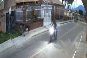 Perro defendió a su dueño durante un intento de robo en San Cristóbal