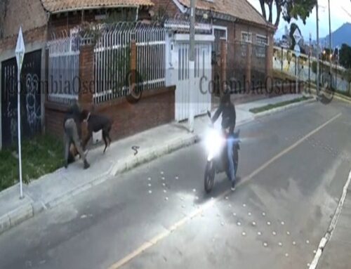 Perro defendió a su dueño durante un intento de robo en San Cristóbal