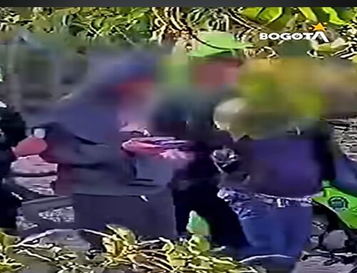 El C4 le arruinó el negocio: fue capturado presunto expendedor de droga en el Parkway.