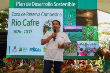 Al menos 15.125 animales han muerto por Fenomeno del El Niño e incendios, Informa Fedegán