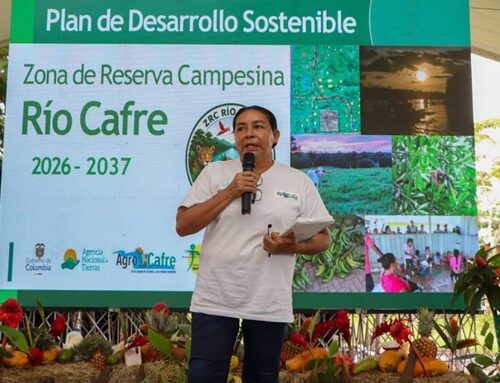 Al menos 15.125 animales han muerto por Fenomeno del El Niño e incendios, Informa Fedegán