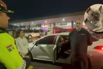 Robaron carro con un perro adentro en Bogotá: Policía lo recuperó cerca de El Dorado