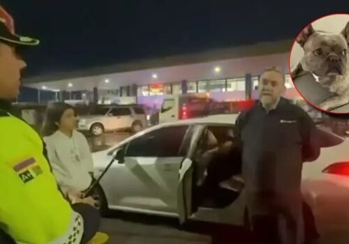 Robaron carro con un perro adentro en Bogotá: Policía lo recuperó cerca de El Dorado